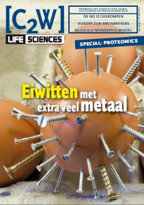 Metaaleiwitten metalloproteins Enzymactiviteit