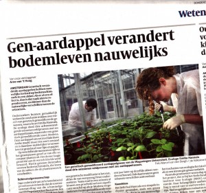 genetisch gemodificeerde aardappel verandert bodemleven nauwelijks