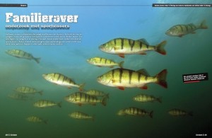 Baarsonderzoek-Roversmagazine-1024x667