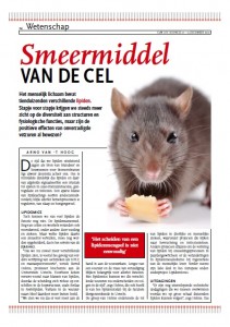 Smeermiddel van de cel