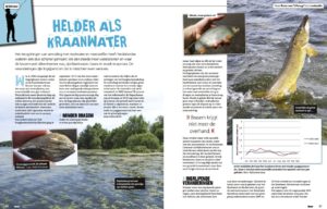 Beet 4 2016 Helder als kraanwater