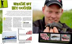 Beet 6 juni 2016 Invasie uit het Oosten